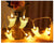 SearchFindOrder 12 / 1.5M 10LED Lights 10/20Led Halloween Pumpkin Ghost Skeletons Bat Spider Led Light String Festival Bar Home Party Decor Halloween Ornament