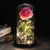 SearchFindOrder 20 Magic LED Eternal Enchanted Rose