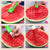 SearchFindOrder 3-in-1 Stainless Steel Watermelon Slicer, Scoop & Baller Tool