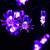 SearchFindOrder 8 / 1.5M 10LED Lights 10/20Led Halloween Pumpkin Ghost Skeletons Bat Spider Led Light String Festival Bar Home Party Decor Halloween Ornament