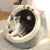 SearchFindOrder British Shorthair / M (40X40X32cm) Washable Cozy Soft Pet House