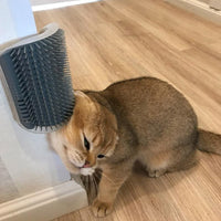 SearchFindOrder Cat Brush Corner Massage Self Groomer Comb