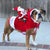 SearchFindOrder christmas Royal Running Santa Pet Costume