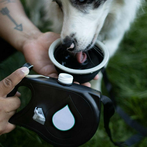 SearchFindOrder Dog Leash with Built-In Water Bottle & Waste Bag Dispenser