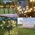 SearchFindOrder Firefly Garden Solar LED Outdoor Lights