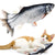 SearchFindOrder Flopping Fish Cat Toy