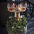 SearchFindOrder Foldable Portable Outdoor Wine Table