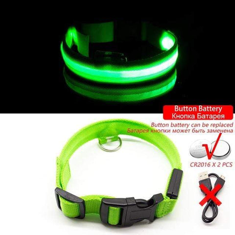 SearchFindOrder Green Button Battery / XL NECK 52-60 CM LED Dog Collar - USB Rechargeable
