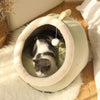 SearchFindOrder Green Dragon / S (31X30X28cm) Washable Cozy Soft Pet House