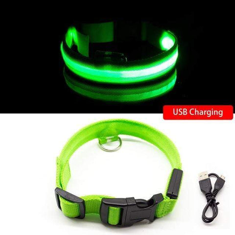 SearchFindOrder Green USB Charging / XL NECK 52-60 CM LED Dog Collar - USB Rechargeable