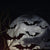 SearchFindOrder halloween 3D Bats Wall Decor