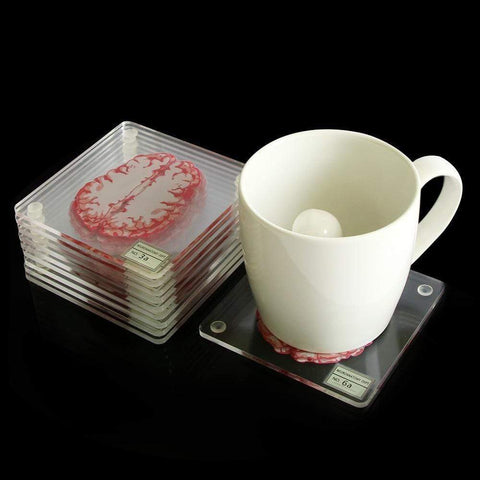 SearchFindOrder halloween Acrylic Non-Slip Brain Coasters (10pcs)