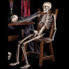 SearchFindOrder halloween Halloween Skeleton Decoration Party Prop