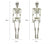 SearchFindOrder halloween Halloween Skeleton Decoration Party Prop