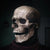 SearchFindOrder halloween Realistic Halloween Skull Mask
