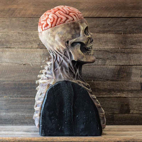SearchFindOrder halloween Realistic Skull Zombie Mask
