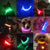 SearchFindOrder LED Dog Collar - USB Rechargeable