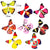 SearchFindOrder Magic Surprise Flying Butterflies