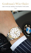 SearchFindOrder Men Mechanical Luxury Automatic Stainless Steel Waterproof Watch