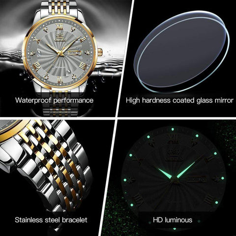 SearchFindOrder Men Mechanical Luxury Automatic Stainless Steel Waterproof Watch