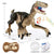 SearchFindOrder Remote Controlled Toy Dinosaur