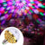 SearchFindOrder Rotating  Party Indoor Disco LED Light