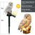 SearchFindOrder Solar Powered Outdoor Owl Lamp