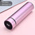 SearchFindOrder SPAIN / metal-pink Intelligent Stainless Steel Thermos with Smart Temperature Display