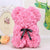 SearchFindOrder The Rose Bear