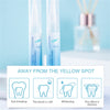 SearchFindOrder Whitening Dental Gel Pen